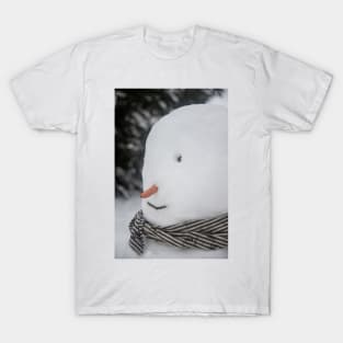 Mr Snowman T-Shirt